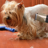 Noise-Free Design Pet Hair Clipper - Petacco